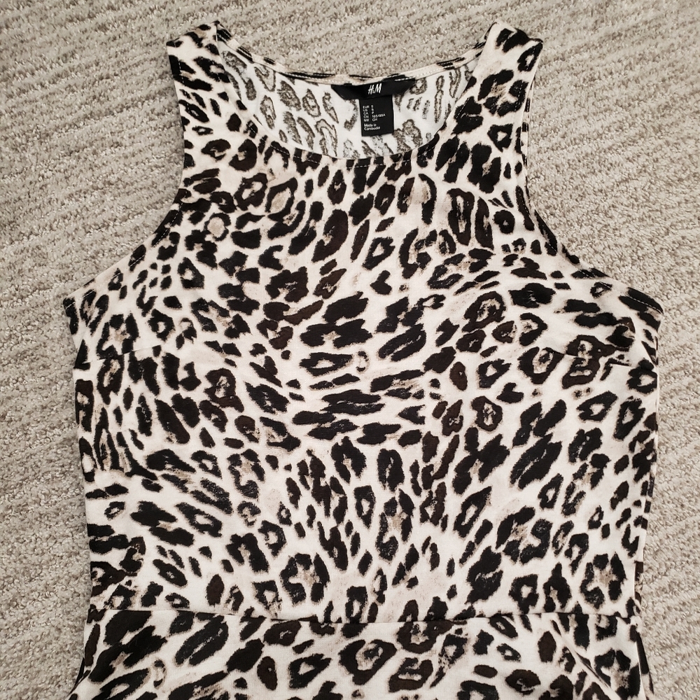H&M Leopard Dress